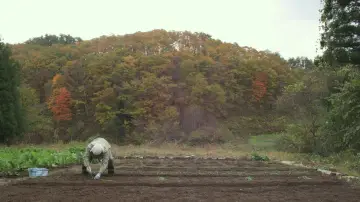 Backdrop to the movie "Little Forest: Winter/Spring" #1149323