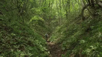 Backdrop to the movie "Little Forest: Winter/Spring" #1149330