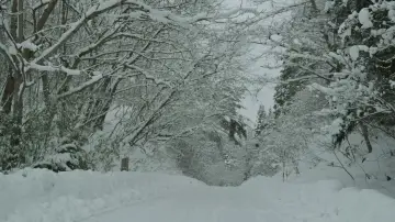 Backdrop to the movie "Little Forest: Winter/Spring" #1149336