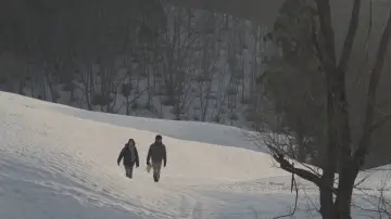 Backdrop to the movie "Little Forest: Winter/Spring" #1149337