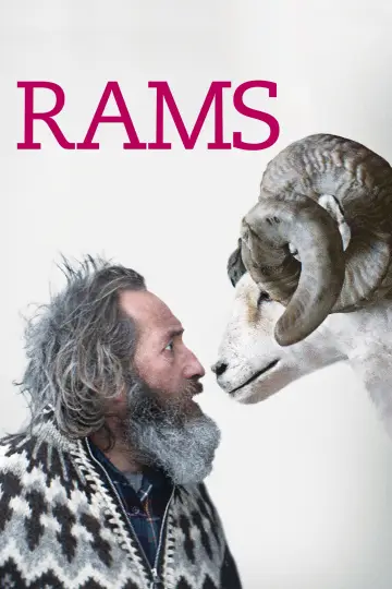 Poster to the movie "Rams" #1048939