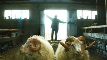 Backdrop to the movie "Rams" #1585297