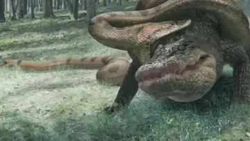 Backdrop to the movie "Lake Placid vs. Anaconda" #893675