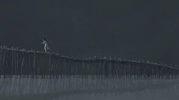 Backdrop to the movie "The Red Turtle" #211909