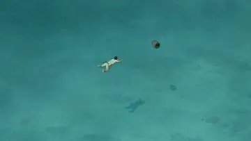 Backdrop to the movie "The Red Turtle" #211919