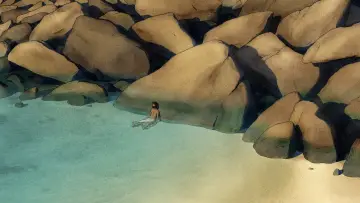 Backdrop to the movie "The Red Turtle" #211930