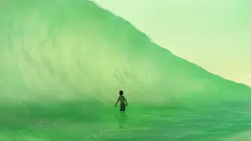 Backdrop to the movie "The Red Turtle" #211942