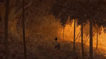 Backdrop to the movie "The Red Turtle" #212008