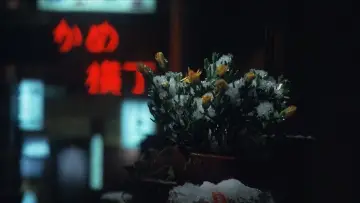Backdrop to the movie "Winter