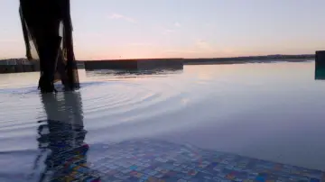 Backdrop to the movie "Song to Song" #1064313