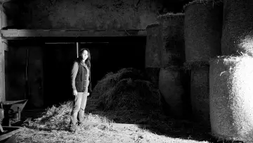 Backdrop to the movie "The Redwood Massacre" #1531694