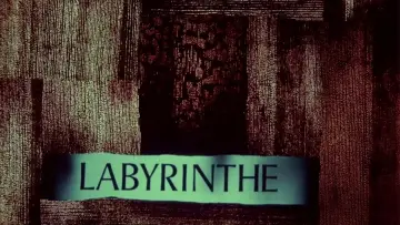 Backdrop to the movie "Labyrinth" #1166095