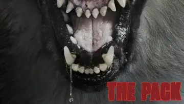 Backdrop to the movie "The Pack" #1126302