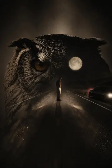 Poster to the movie "Nocturnal Animals" #920061