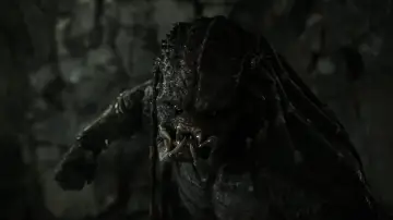 Backdrop to the movie "The Predator" #315986