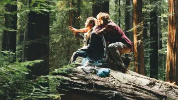 Backdrop to the movie "Swiss Army Man" #252565