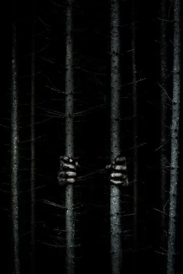 Poster to the movie "Blair Witch" #329262