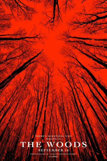 Poster to the movie "Blair Witch" #91000