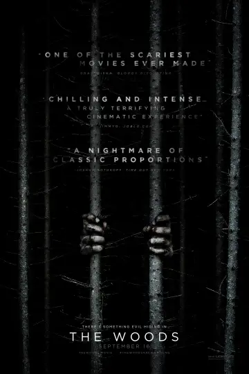 Poster to the movie "Blair Witch" #91001