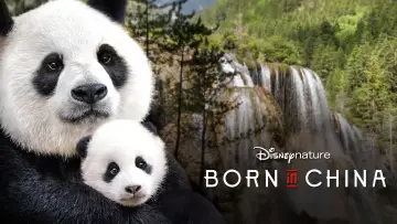 Backdrop to the movie "Born in China" #1080170
