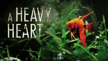 Backdrop to the movie "A Heavy Heart" #1133478