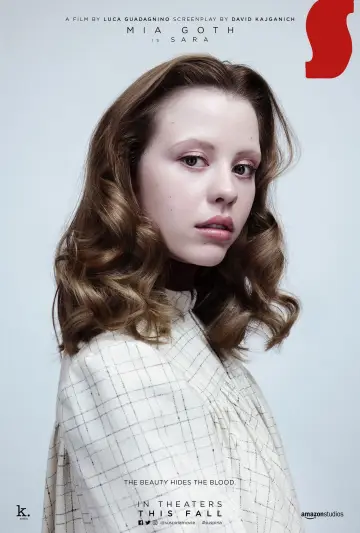 Poster to the movie "Suspiria" #671060