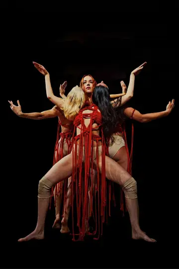 Poster to the movie "Suspiria" #671098
