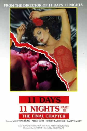 Poster to the movie "11 Days, 11 Nights Part 3" #928821