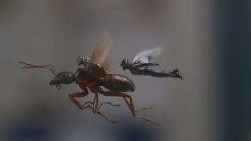 Backdrop to the movie "Ant-Man and the Wasp" #251482