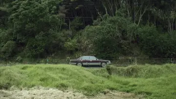 Backdrop to the movie "Hunt for the Wilderpeople" #1164623