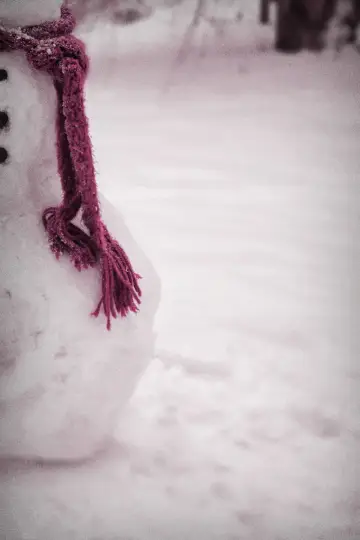 Poster to the movie "The Snowman" #862850