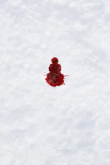 Poster to the movie "The Snowman" #862853