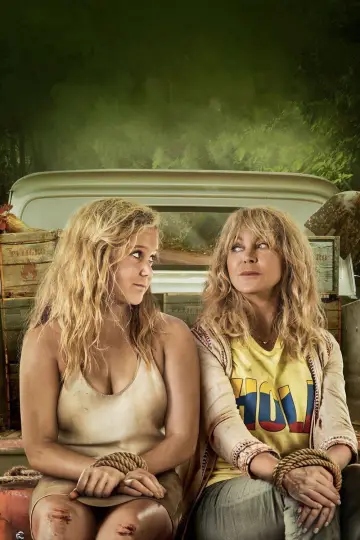 Poster to the movie "Snatched" #1020467