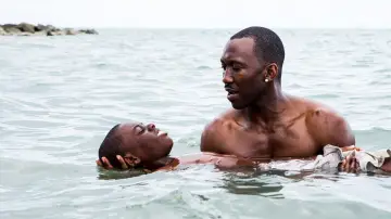 Backdrop to the movie "Moonlight" #770962