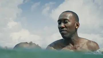 Backdrop to the movie "Moonlight" #963568
