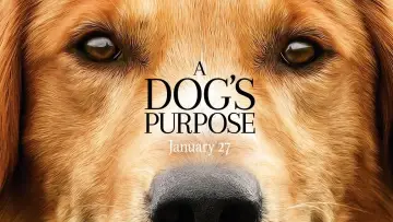 Backdrop to the movie "A Dog