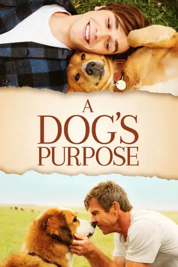 Poster to the movie "A Dog