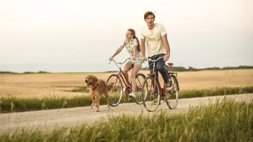 Backdrop to the movie "A Dog