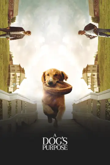 Poster to the movie "A Dog
