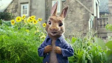 Backdrop to the movie "Peter Rabbit" #325336