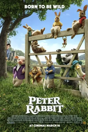 Poster to the movie "Peter Rabbit" #97193