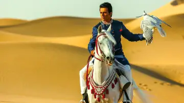 Backdrop to the movie "Kung Fu Yoga" #342154