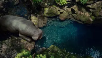 Backdrop to the movie "Okja" #856111