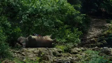 Backdrop to the movie "Okja" #856124