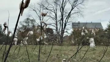 Backdrop to the movie "God Knows Where I Am" #1150188