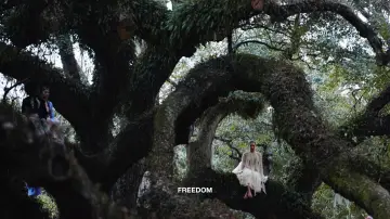 Backdrop to the movie "Lemonade" #828636
