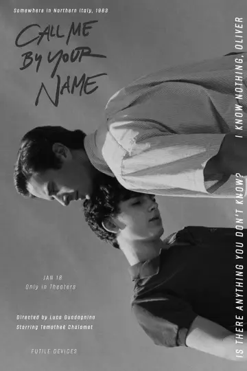 Poster to the movie "Call Me by Your Name" #1176672