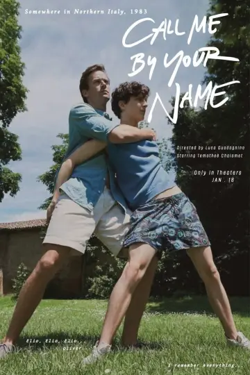 Poster to the movie "Call Me by Your Name" #1193859