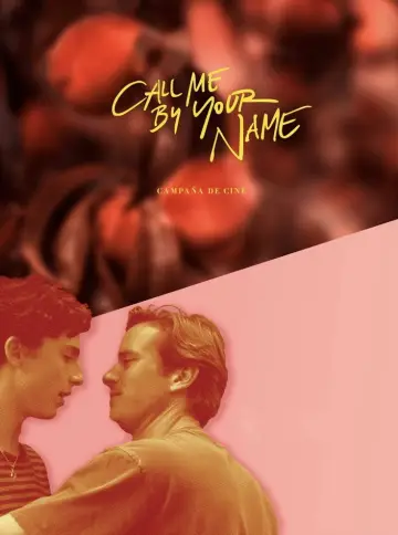 Poster to the movie "Call Me by Your Name" #1193870