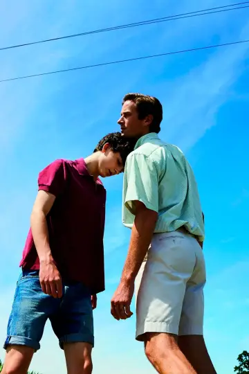 Poster to the movie "Call Me by Your Name" #176979